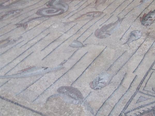 AQUILEIA - Basilica : mosaic