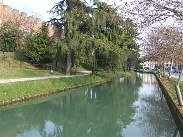 CASTELFRANCO VENETO -  