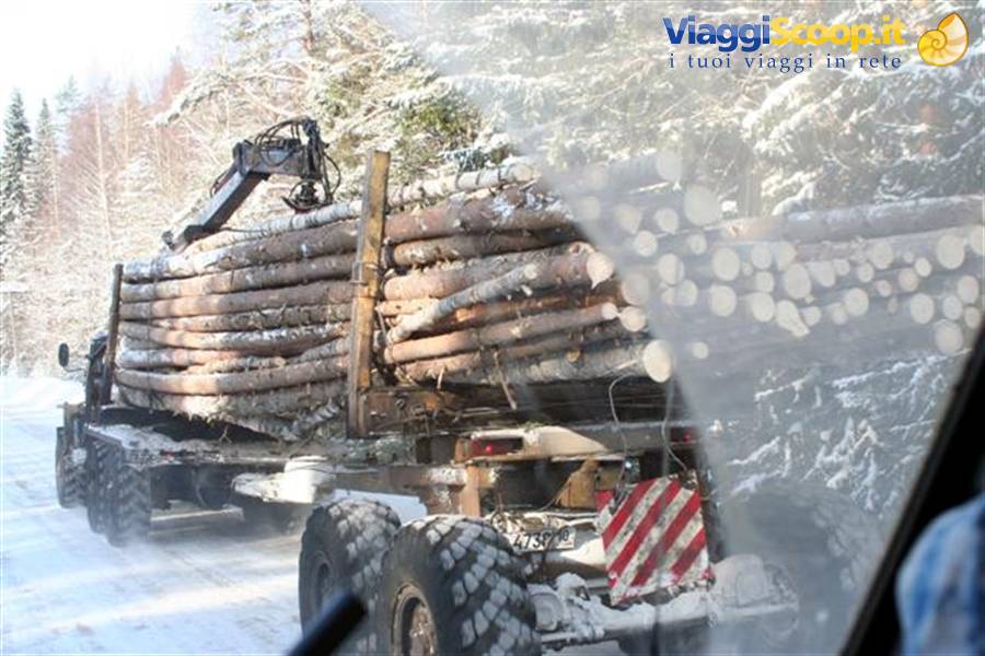 travelled by the loggers' trucks