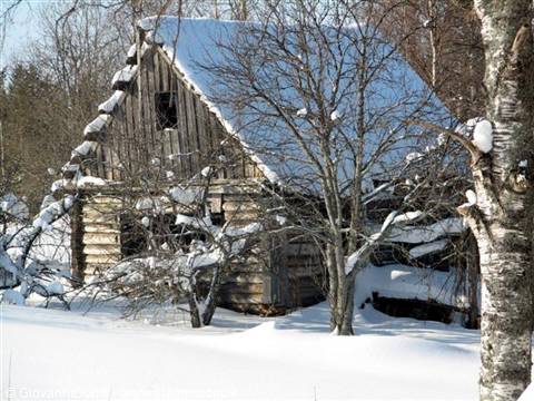 with a fairytale little house