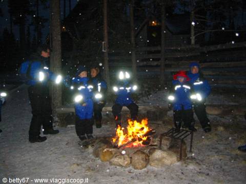 a bit of warmth !
