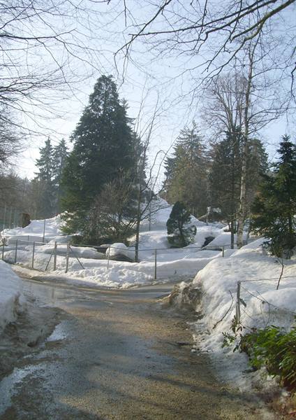 Parc zoologique du bois du petit chateau (La Chaux de Fonds)