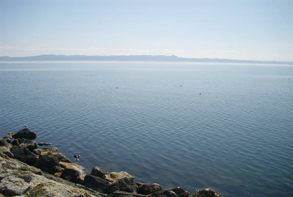 Lake Neuchatel