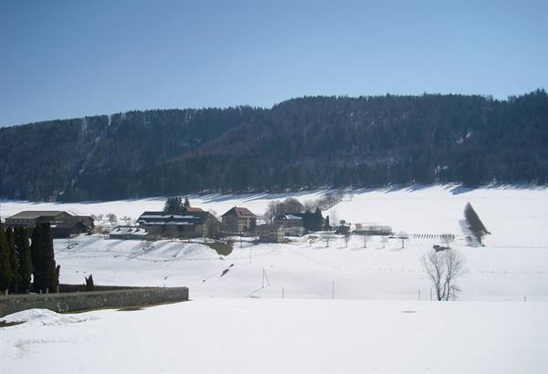 Snow-covered farms beneath forested hills, clear sky, winter light
