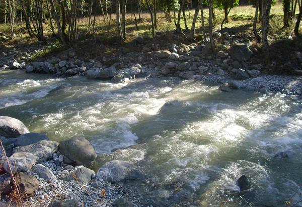 Foaming river rapids among grey boulders, trees and gravel in sunlight