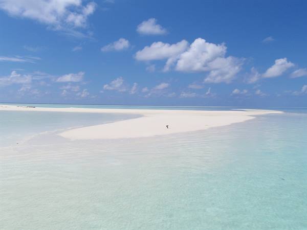 sandbar