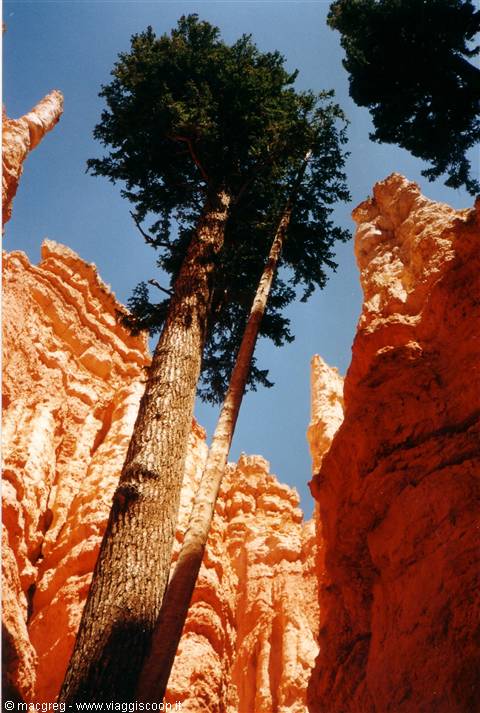 Bryce Canyon