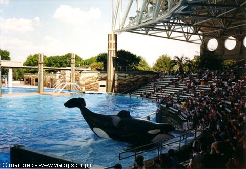 Sea World