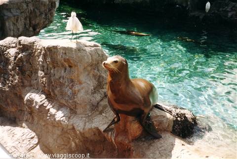 Sea World