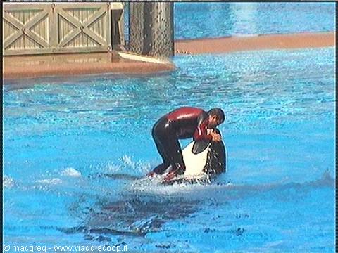 Sea World