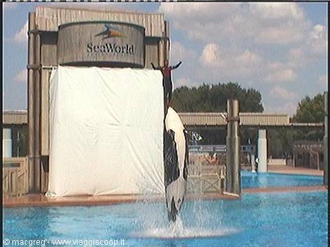 Sea World