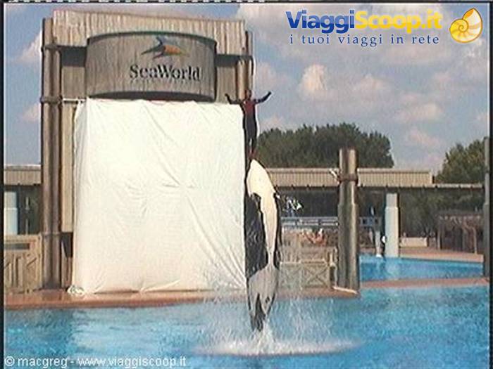 Sea World