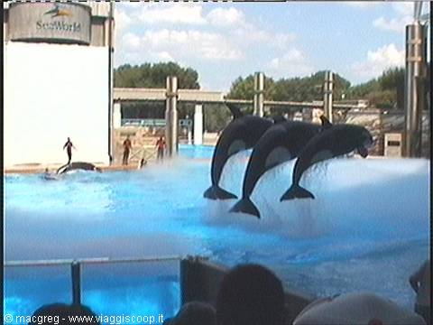 Sea World