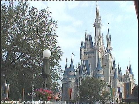 Magic Kingdom