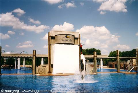 Sea World