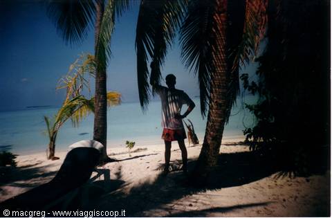 Man standing among palm trees on white sand beach