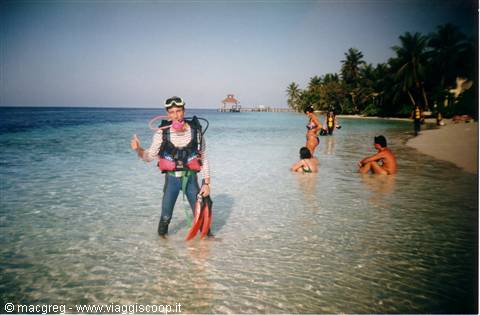 diver in full gear wading in shallow water, swimmers and palm beach behind
