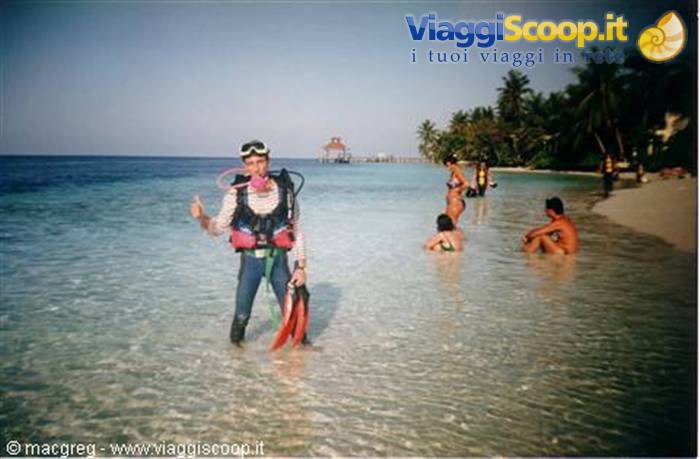 diver in full gear wading in shallow water, swimmers and palm beach behind
