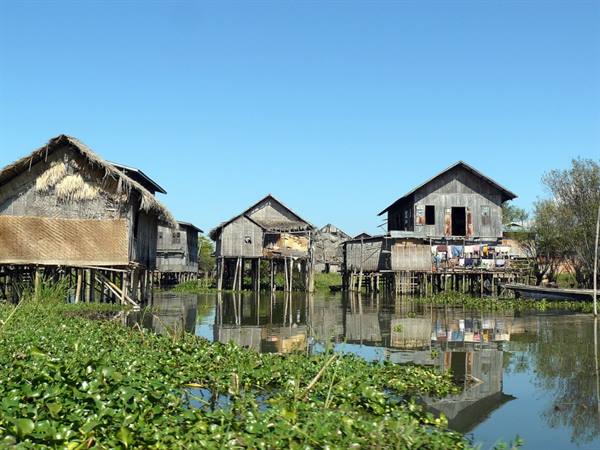 Padaung