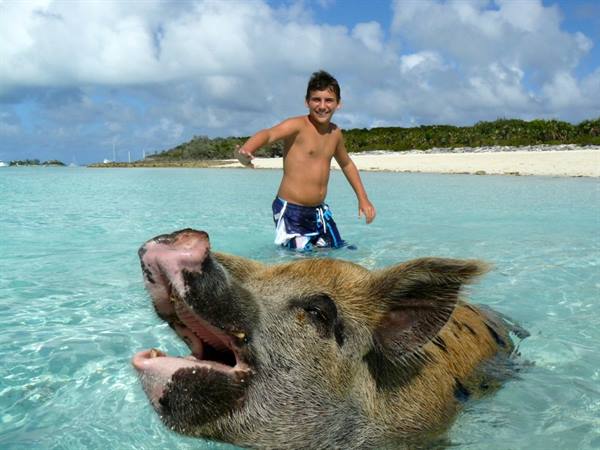 Exuma Cays