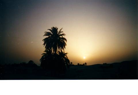 Sunset in the desert