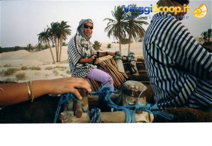 Camel ride in the desert