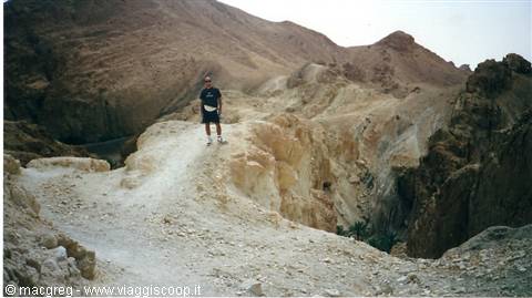 Mountain oasis