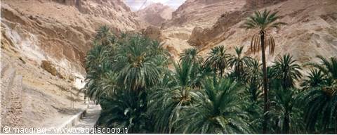 Mountain oasis