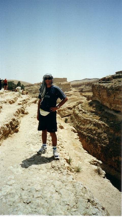 Mountain oasis, Mides