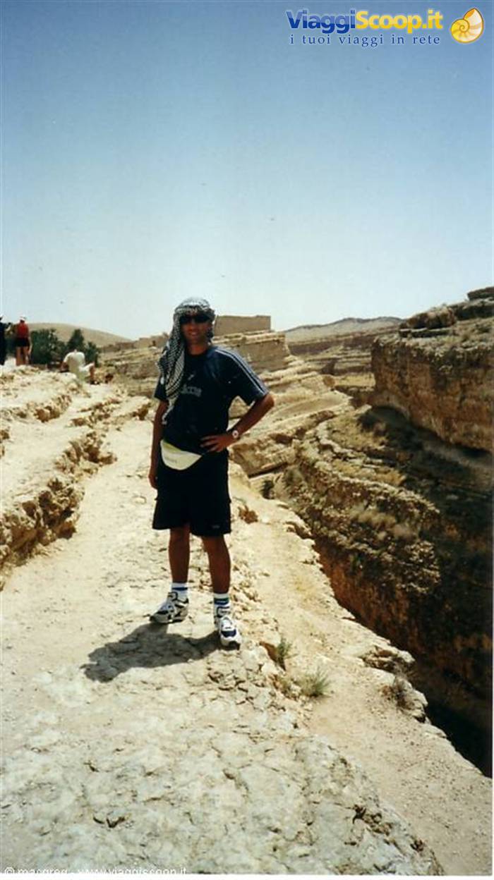 Mountain oasis, Mides
