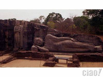 Buddhist Temple (image taken from the web)