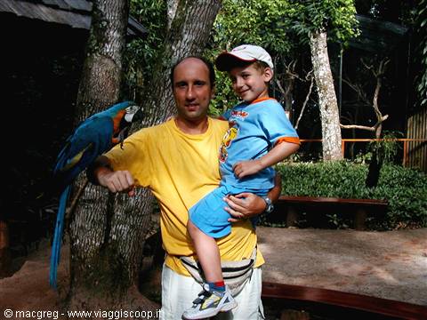 Father in yellow shirt holding son with a macaw perched on his arm