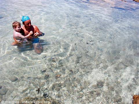 Natural pools