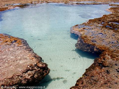 Natural pools