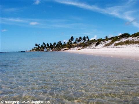 Praia Muro Alto