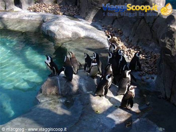 Zoo Aquarium