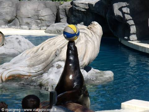 Zoo Aquarium