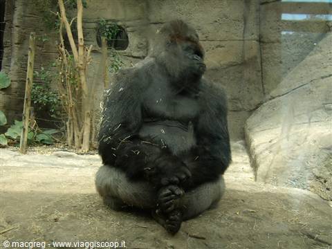 Zoo Aquarium