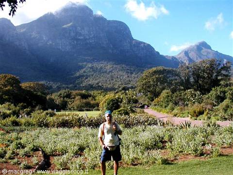 Kirstenbosch, the botanical gardens
