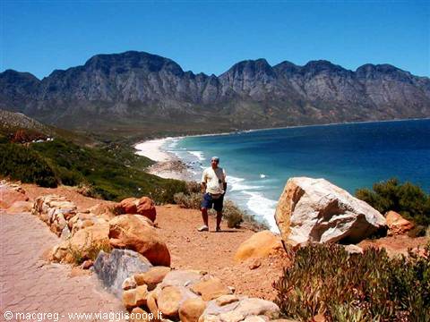 The coast around Cape Town
