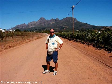 The Winelands