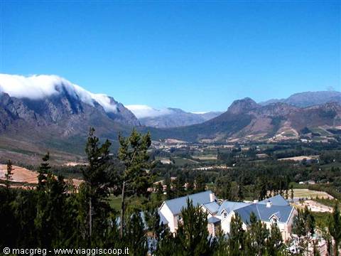 The Winelands