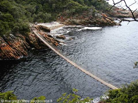 Tsitsikamma NP, the suspension bridge