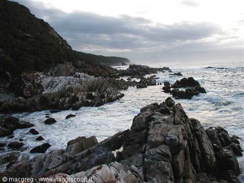 Tsitsikamma NP, the Otter Trail