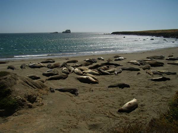 Piedras Blancas