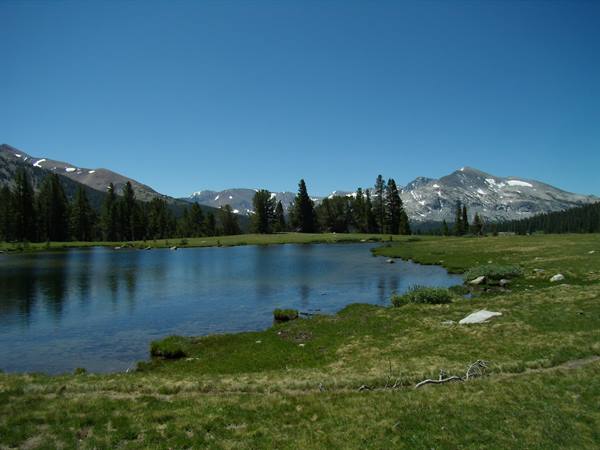 Yosemite NP