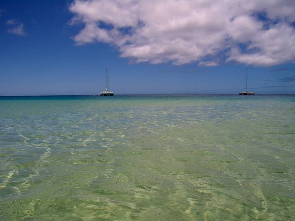 Waimea Beach Park