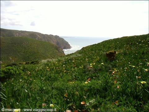 Cabo da Roca