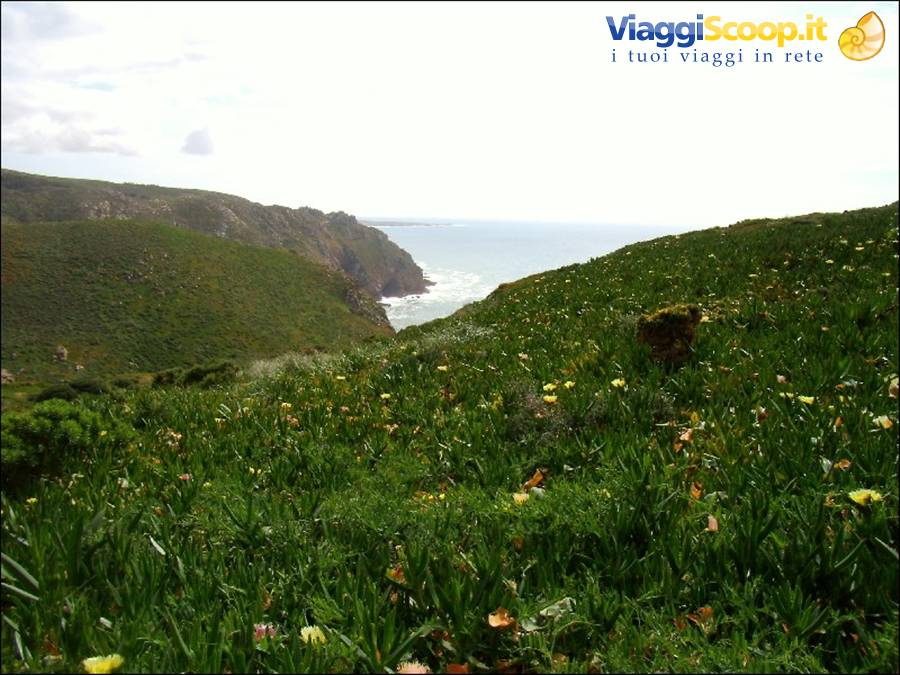 Cabo da Roca