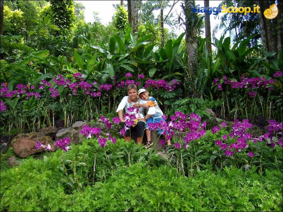 Royal Botanical Garden
